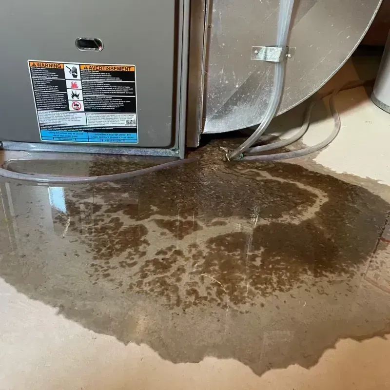 Appliance Leak Cleanup in Norris City, IL